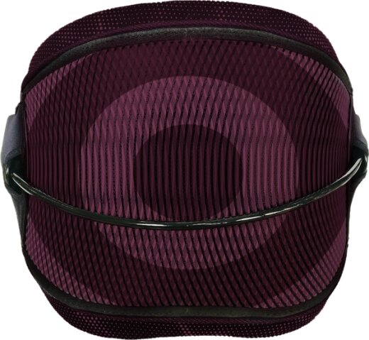 Neil Pryde Trapez PROTON KITE maroon