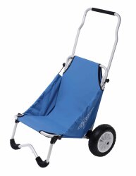 Ascan Surf Buggy