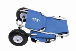 Ascan Beach Buggy