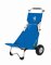 Ascan Beach Buggy