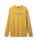 Duotone T-Shirt True Team LS unisex algae