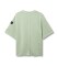Duotone Sweat Tee True Fade Out SS unisex sage