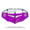 Duotone Wing Ventis FS purple/light-grey