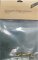 Screw-Set for WingAir (Torx 40, 20mm)