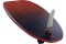 2026 JP WS Board Magic Move WOOD PRO