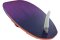 2026 JP WS Board Magic Ride WOOD PRO