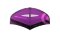 Neil Pryde Wing Fly IV PRO C1 PURPLE / PINK