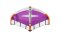 Neil Pryde Wing Fly IV C2 PURPLE / ORANGE